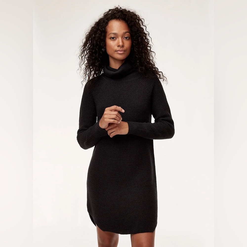 Aritzia Wilfred Free Bianca dress made from 100% Merino wool